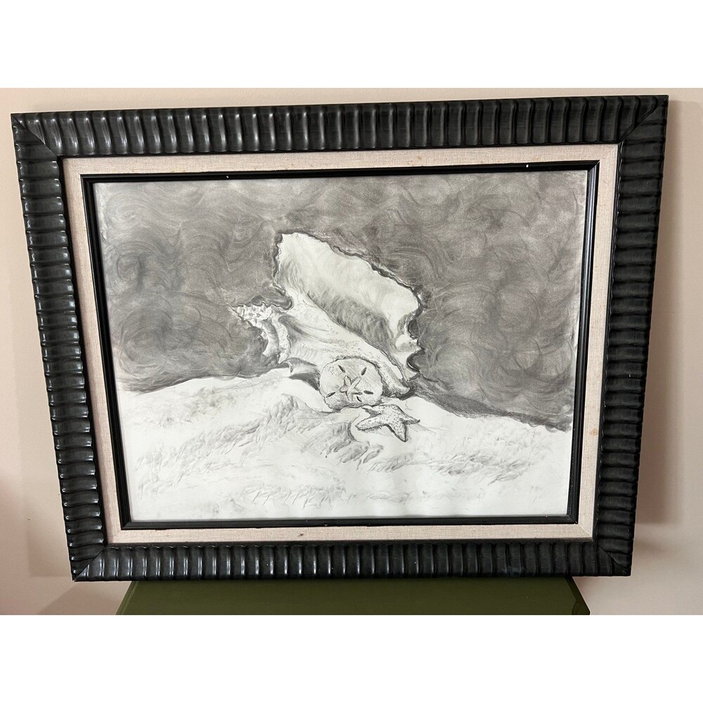 Handmade FRAMED Pencil Drawing Sketch of a Shell Starfish Sand Dollar
